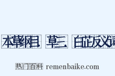 本草纲目．草三．白芷反义词是什么意思的图片